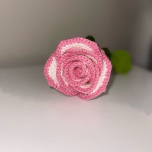 Pink rose